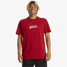 (M, Salsa) Quiksilver Mens Impaired Logo DNA Short Sleeve T-Shirt Crew Neck Tee Top Surf