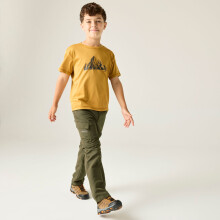(6 - 7 Yrs, Treetop) Regatta Kids Sorcer III Zip Off Trousers