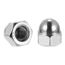 1/4"-20 Acorn Cap Nuts, 20Pcs 316 Stainless Steel Dome Cap Head Acorn Nut Hardware Nuts for Bolt Cover, Silvery