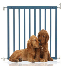 (Azul Celeste Madera, 63.5cm - 105.5cm) Bettacare Puerta de Madera Maciza para Perros con Fijación por Tornillos