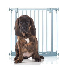 (Gris, 71cm - 80cm) Bettacare Puerta Elite a Presión para Perros