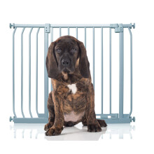 (Gris, 89cm - 98cm) Bettacare Puerta Elite a Presión para Perros