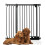 (Black, 89cm - 98cm) Bettacare Extra Tall Elite Dog Gate 1