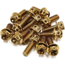 14pcs Gold Tone M6 x 15 Motorcycle Stainless Steel Titanium Plated Hexagon Bolts Clips Screws