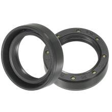 Oil Seal, TC 25mm x 35mm x 10mm Nitrile Rubber Cover Double Lip with Spring for Mechanical Motive Axle Bearing Shaft, Black 2 Pcs