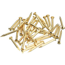 35Pcs Small Tiny Nails 2x20mm(DxL) Tiny Brass Nails Hardware Round Head Brass Nail for Wooden DIY Projects Decorative Boxes Household, Brass Tone