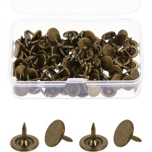 100Pcs Upholstery Thumb Tacks, 3/8" x 5/16" Flat Head Upholstery Push Pins Decorative Nails for Wood Wall Furniture, Bronze