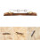 Height Adjustable Mandolin Bridge Saddle Rosewood Base Bridge Replacement 2