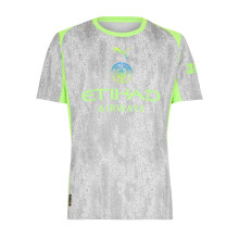 (XL, Grey/Green) Puma Mens 25/26 Manchester City FC Jersey