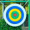 Color Face Practice Board Shoot Targets with Solid Pad for Outdoor Placement 4