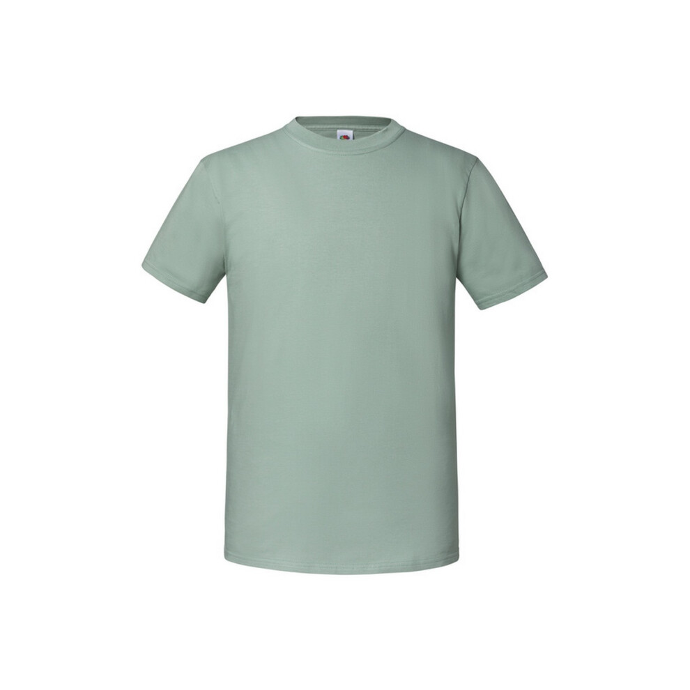Fruit Of The Loom (L, Sage) Mens Iconic Premium Ringspun Cotton T-Shirt
