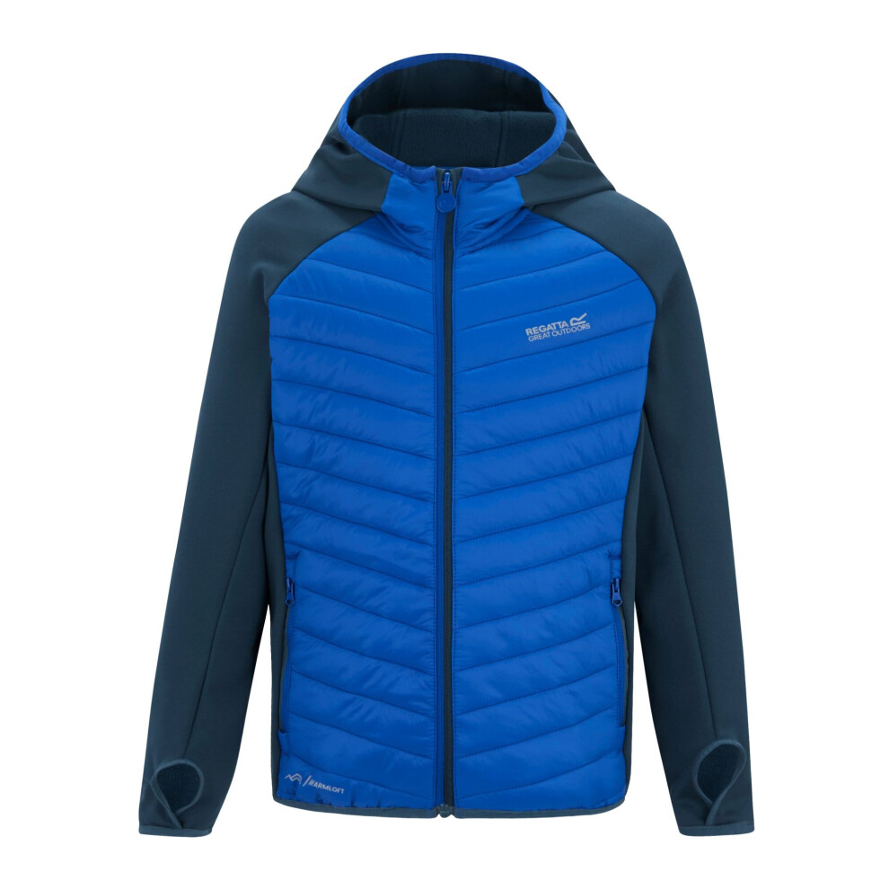 Regatta (9-10 Years, Night Sky/Olympian Blue) Childrens/Kids Andreson Hybrid Padded Jacket