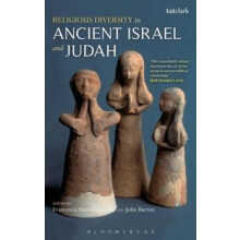 Religious Diversity in Ancient Israel and Judah Hardcover Book