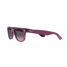 Unisex Glasses Ray Ban Rb2132-6606M3