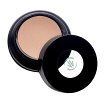 VINCENT LONGO Water Canvas Highlighter, Aura Passion