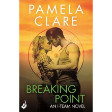 Breaking Point ITeam 5 A series of sexy thrilling unputdownable advent