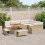 VidaXL vidaXL Gartensofa-set 12 stk. Beige Poly-Rattan 3