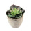 5 piante grasse artificiali decorative con vasi 1
