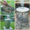 GARDEN RUBBISH FIRE GALVANIZED INCINERATOR PAPER LEAF WASTE BURNER 3 SIZES 5