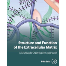 Structure and Function of the Extracellular Matrix A Multiscale Quanti