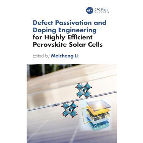 Defect Passivation and Doping Engineering for Highly Efficient Perovsk