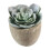5 piante grasse artificiali decorative con vasi 3