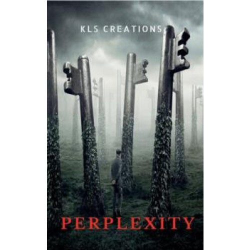 PERPLEXITY by Kadari Lingaswamy Paperback Book