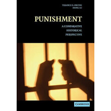 Punishment A Comparative Historical Perspective by Terance D. Miethe P