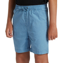 (16Y, Blue Shadow) Quiksilver Kids Taxer Walk Short Surf Surfing Swim Swimming Beach Boardshort