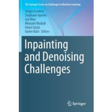 Inpainting and Denoising Challenges Paperback Book