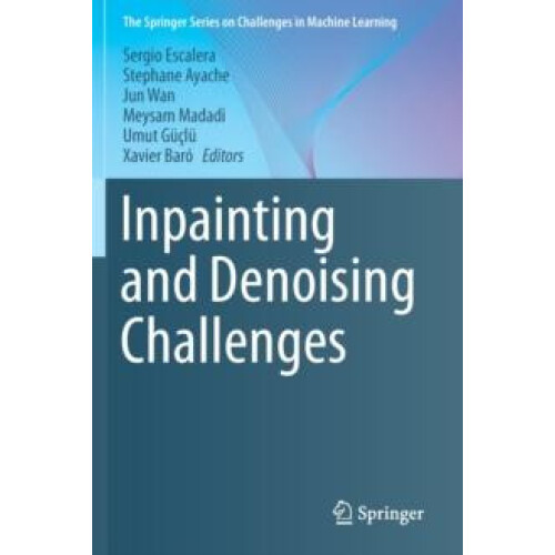 Inpainting and Denoising Challenges Paperback Book