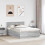 VidaXL vidaXL Bed Frame Grey Sonoma 150 x 200 cm Engineered Wood 4