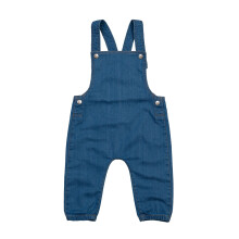 (2-3 Years, Denim) Babybugz Baby Rocks Denim Dungarees
