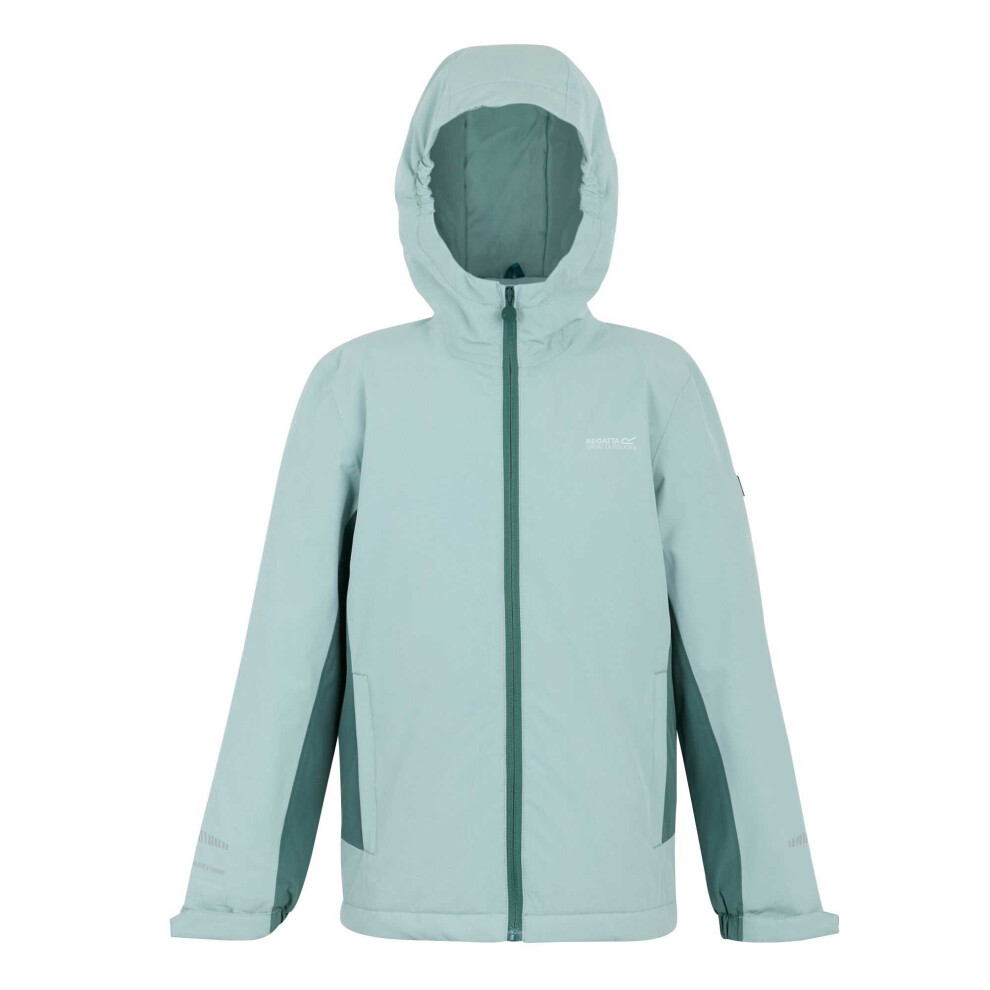 Regatta (15-16 Years, Green Haze/Spruce Green) Childrens/Kids Hurdle Insulated Waterproof Jacket