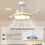 Homcom Ventilador Techo Luz Marrón 95 x 95 x 36 cm 6