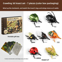 Kids Insect Toy With Interactive Plastic Crawlers Cognitive Recognition Cards