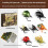 Kids Insect Toy With Interactive Plastic Crawlers Cognitive Recognition Cards 1