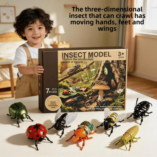 Kids Insect Toy With Interactive Plastic Crawlers Cognitive Recognition Cards 2