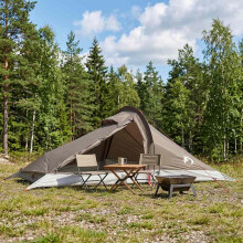 vidaXL Backpacking Tent Brown and Grey 2-Person