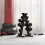 2x5kg Hex Dumbbells Set for Home Gym 2