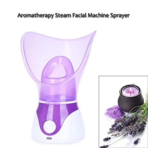 Επαγγελματικός ηλεκτρικός ατμομάγειρας προσώπου, σάουνας, ατμού κα 1
