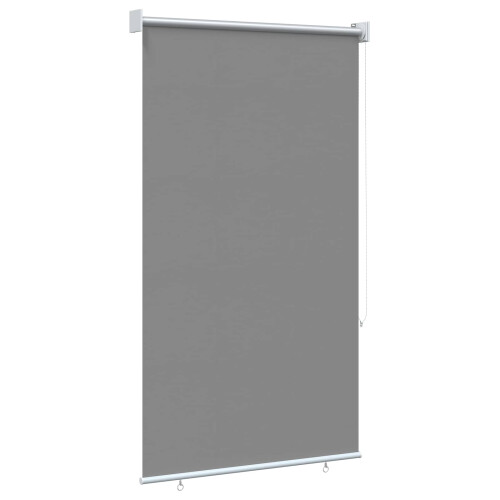 VidaXL vidaXL Außen-Rollos mit UV-Schutz Hellgrau 100 x 230 cm (B x H) 2