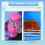 2-Tier Hamster Cage with Handle & Accessories 5