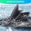 2 Pcs Kayak Tracking Fin,Inflatable Boat  Fin Watershed Board Fin Mounting Points PVC Replacement Accessories 3