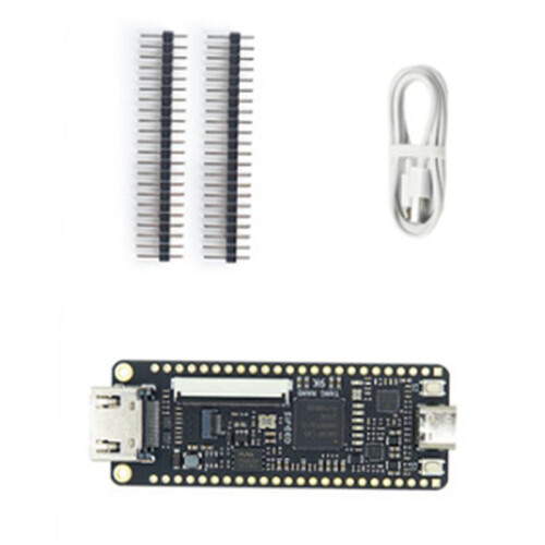 5X Tang  9K FPGA Development Board GOWIN GW1NR-9 RISC-V HDM Kit 1