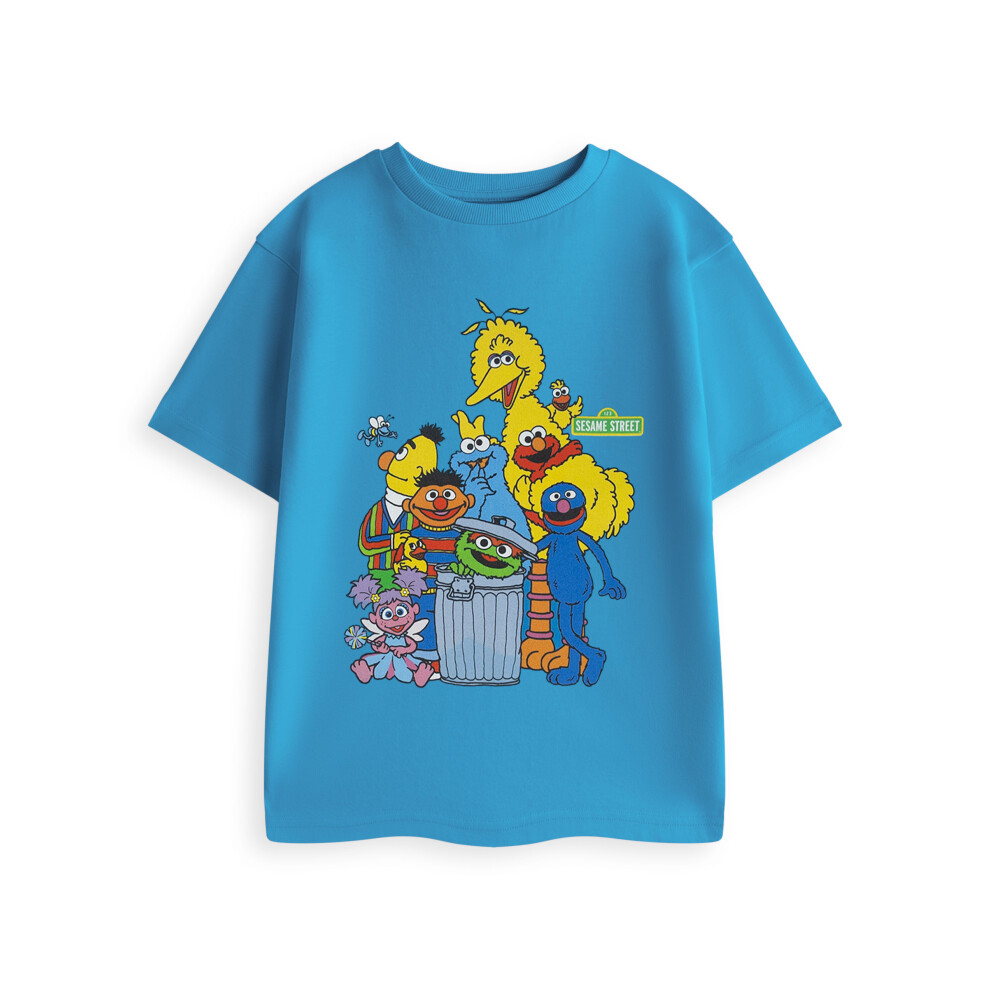 Sesame Street (7-8 Years) Short Sleeved T-Shirt (Unisex Kids Blue)