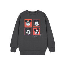Disney Mickey Mouse Sweatshirt (Boys Grey)