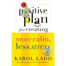 A Positive Plan for Creating More Calm Less Stress by Karol Ladd Paper