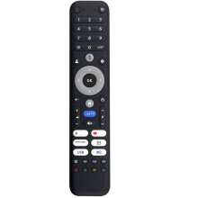 Replace Voice Remote Control for CHIQ L32FM10V U65M10F M55QN9G TV Remote Control