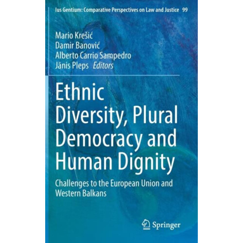 Ethnic Diversity Plural Democracy and Human Dignity Challenges to the